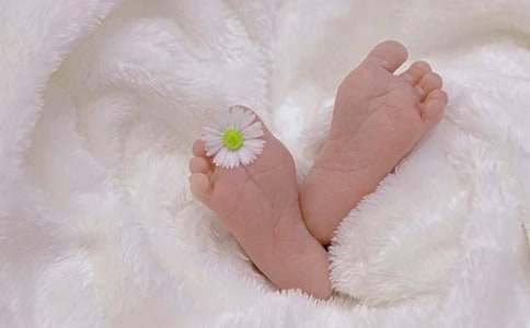 8月20號(hào)出生的是什么星座