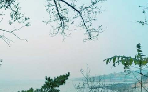 �������(w��)���L(f��ng)�Є�(d��ng)���Y(ji��)