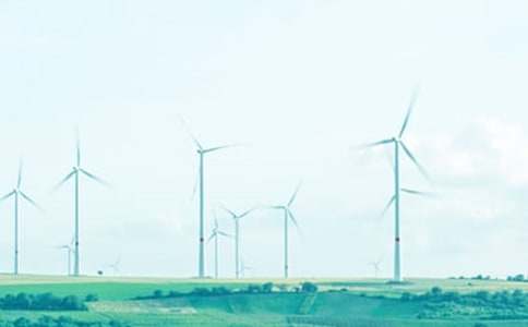 稅務(wù)春風(fēng)行動工作總結(jié)匯編11篇