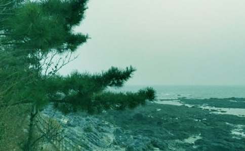 調(diào)皮的春風(fēng)作文