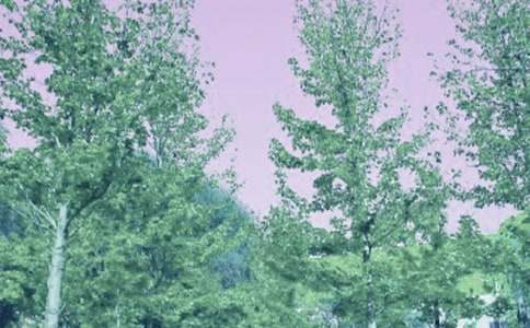 ���Ǵ��L����r800�֌�������