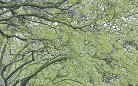 ����(gu��)�Ĵ��L(f��ng)��x��