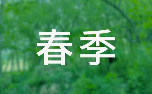 小學(xué)后勤工作計(jì)劃2025春季