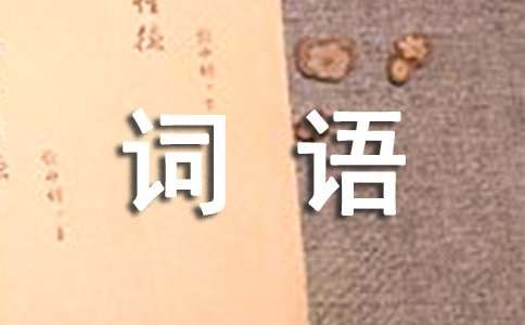 養(yǎng)老院廣告詞語
