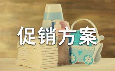 購物節(jié)促銷方案精選11篇