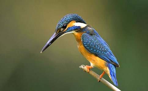 ���꼉�����B���̌W(xu��)�O(sh��)Ӌ(j��)(10ƪ)