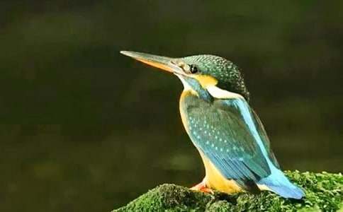 �����B���ڶ��n�r�f�n�OӋ