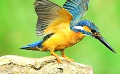 �����B���ڶ��n�r(sh��)�f�n�O(sh��)Ӌ(j��)[��(y��u)�x]