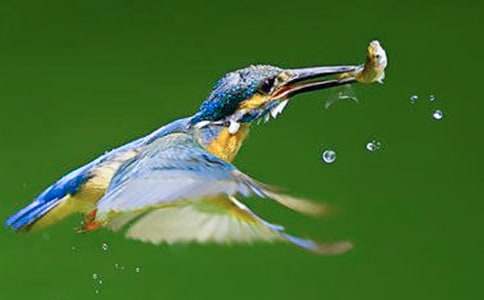 �n�Ĵ��B��һ�n�r�Ľ̌W�OӋ