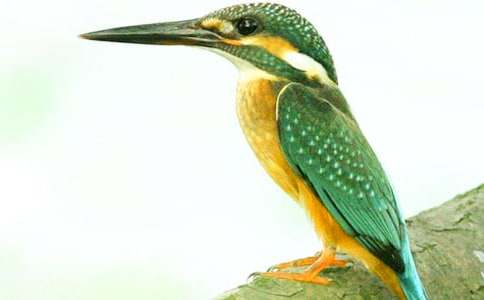 �����B���n�Ľ̰��̌W(xu��)�O(sh��)Ӌ(j��)����