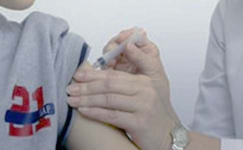 ���´������