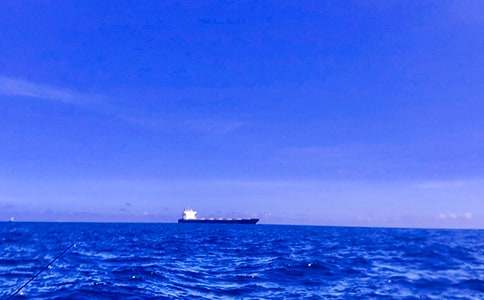 迷人的大海作文