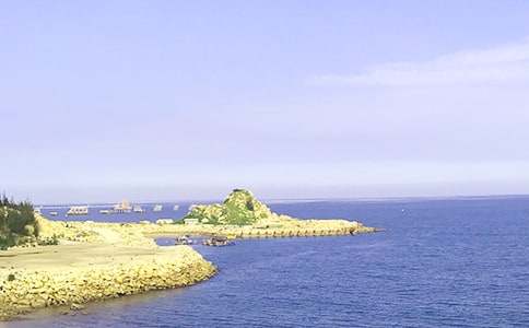 小水滴和大海作文