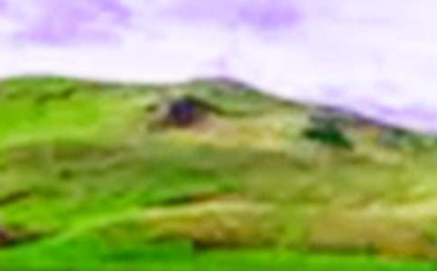 ���ɹ��Ƿ��^�h���Ĵ�ɽ�������x���