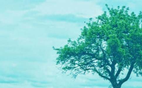 小草和大樹讀后感