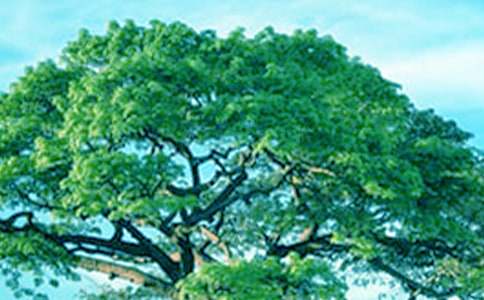 ��ࡶ����µ��ҡ��L�����(d��ng)�̰�