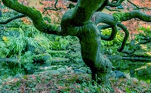 ��С�ݺʹ��(sh��)���x���