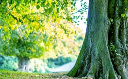 ����䋌�����а�ˇ�g(sh��)��ӽ̰������x18ƪ��