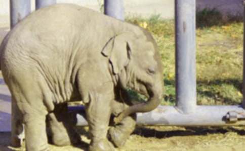 �L������̰�