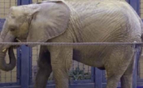 �������Ǻʹ�������