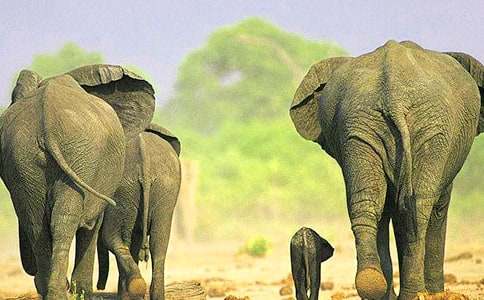 ���꼉���������\����ƪ