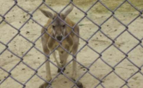 �������������