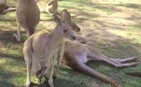 ������������