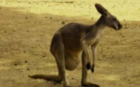 �����󋌋����n��˼