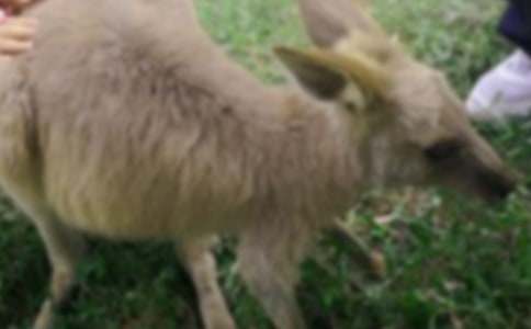 ��������ِ����