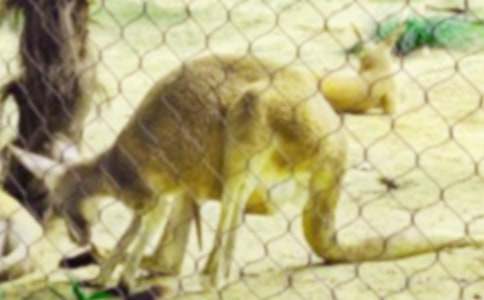 С����ُ��܇��˯ǰ����