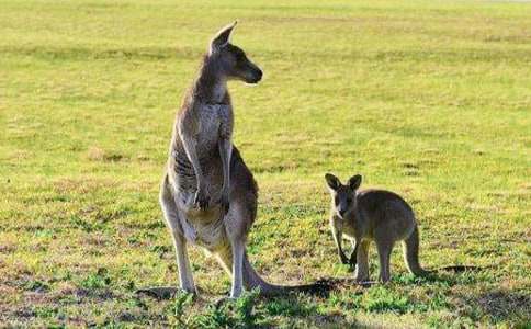 С��ˇ�g(sh��)�̰�:����