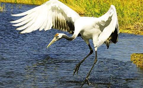 ����Q������