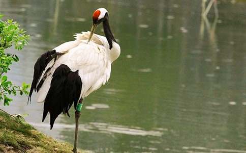 ���^����Q����