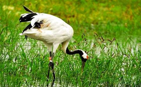 ����Q����15ƪ