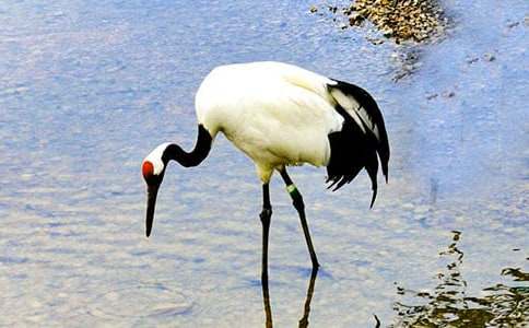 �������ĵ���Q����һ�n�r�̌W���