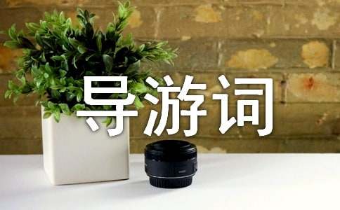 山東孔林導(dǎo)游詞