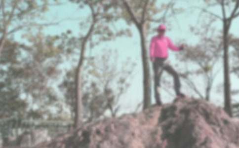 �P(gu��n)�ڵ�ɽ����