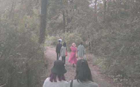 作文選集:登山作文