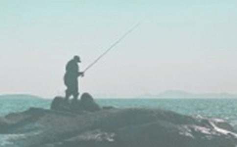 釣魚優(yōu)秀作文