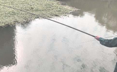 ����~�Ć�ʾ���x���(�R��15ƪ)