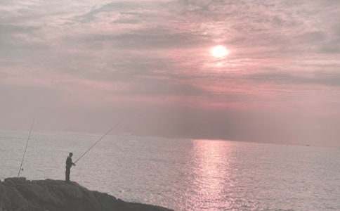 釣魚(yú)啟示教學(xué)設(shè)計(jì)