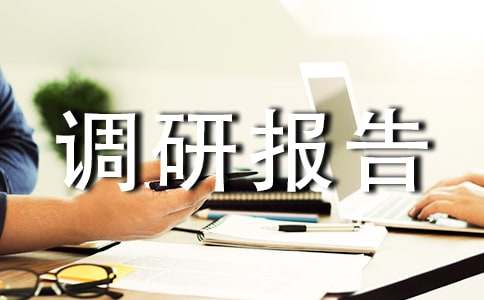 電商專業(yè)調(diào)研報告