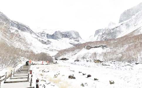 果樹(shù)冬季修剪實(shí)習(xí)報(bào)告