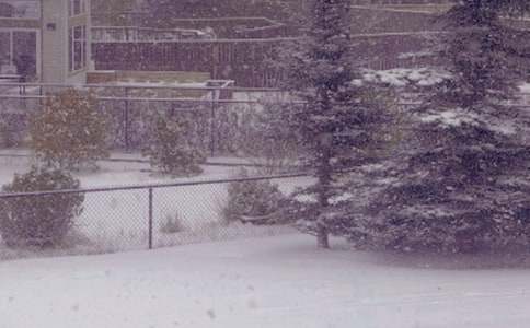 冬日雪景作文15篇