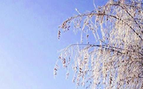 給顧客冬天祝福語溫馨的話