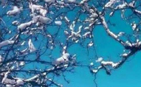 �����ܰ�İ�