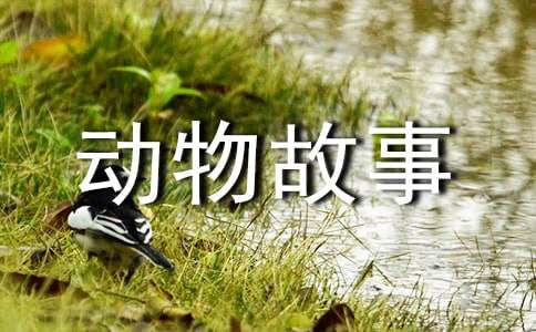 ���D������¼��x���