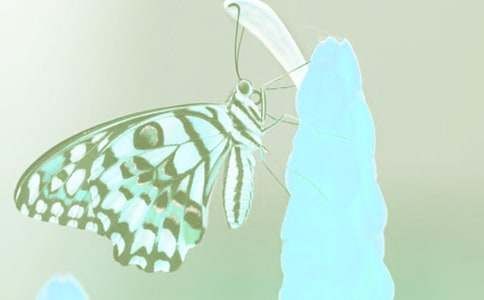 ������Ӱ��ֲ��zӰ������ِ�߄�