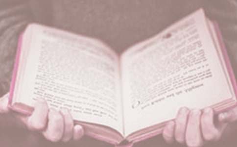 世界讀書日活動