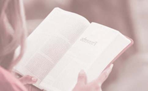 世界讀書日演講稿集錦